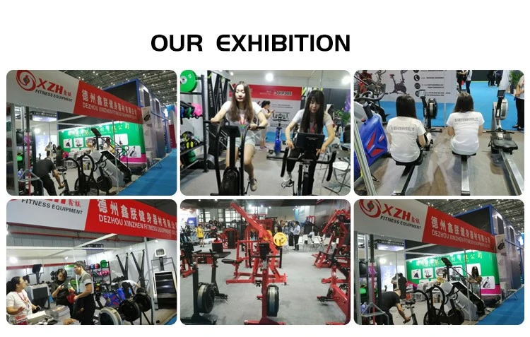 EXHIBITION EXHIBITION