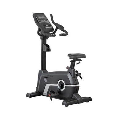 Bicicleta vertical de control magnètic de grau comercial