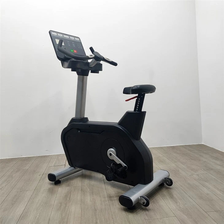 Vertical Magnetic Control Bike price